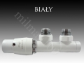 bialy twins.jpg