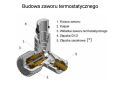 budowa_zaw_term_VISION.png