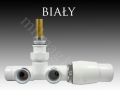 bialy.jpg