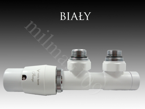 bialy twins.jpg