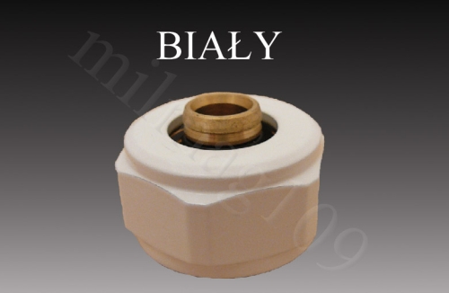 zlaczka bialaBOK.jpg