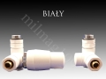 BIALY DwerWA.jpg