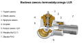 zawor_term_LUX_budowa.png