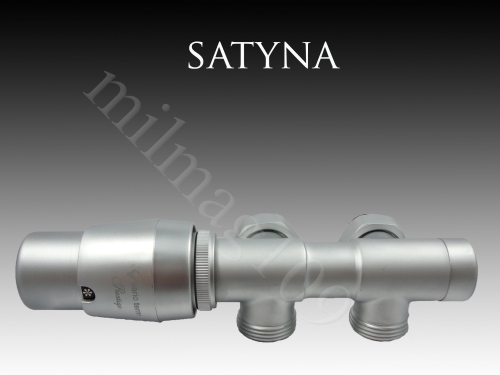satynatwins (1).jpg